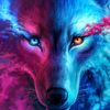 wolf416