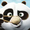 ilovekungfupanda24