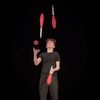 Fly Juggler