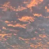 k052344275
