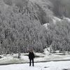 turki_jaws