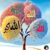 user.shushu2
