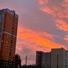 milana_2025_5