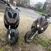the_black_shadow34