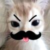 clrssratuhny_