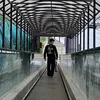 perikl1zz