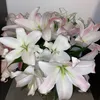 nishh437