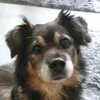 dani_aus_berlin_