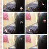 srey.ka5962