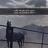 azouz000