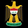 رجل الظل