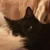 hrhmo