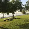 abduleillah1