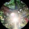 viilf3