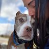 thedogfarm