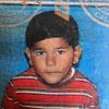 bomar__
