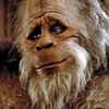 canadiansasquatch