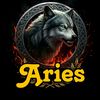 aries14.040