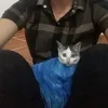 thimasterd