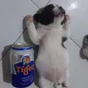 user61r6lkwjce