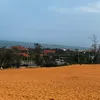 cuongli94