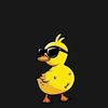 unknownduck240