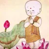 locpham_448