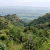 azhariazhari7