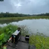 trungcaro1997