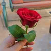 islamqawabaa2