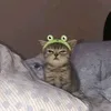 eujhenyyyy