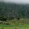 menduca_a