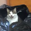 sam__0425