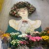 asma_ana252