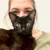 zelda_szasa_hope