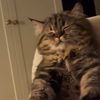 slumberrr4