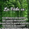 lososos12