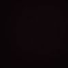 _dmitrievaa08