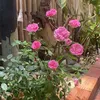 lindanguyen093