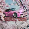 _sliva_s13