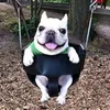 fixarolly