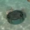 usero5wstbd9si