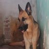 leontr3jo
