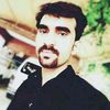 malikshahid3554