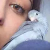 userjzjtvkci3w