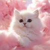 vanessia.mohamad