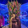 nouranhossam16