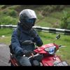 penggiatkenariindonesia