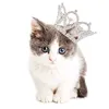 the.queen.of.cats786