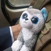 herbert_herbert9